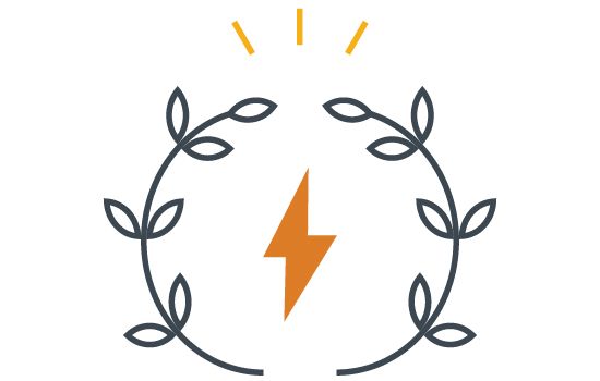 E-Auctions
